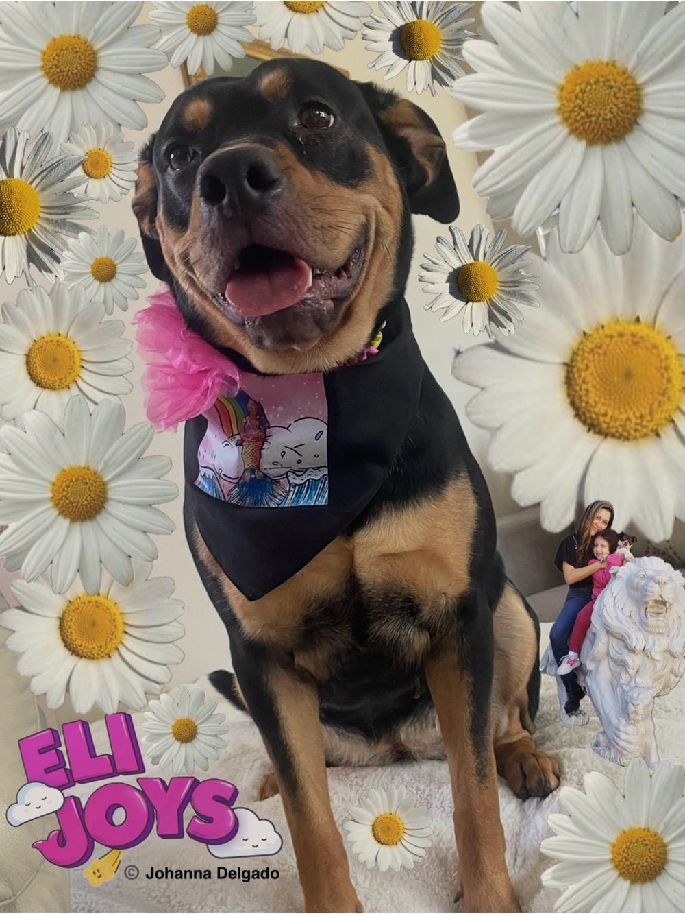 ELIJOYS - Black Dog Bandana with Mermaid Princess ©️JD Accent